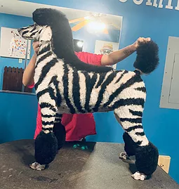 Creative Dog Grooming