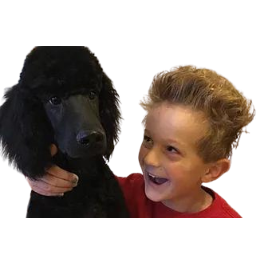 Untitled design (16)