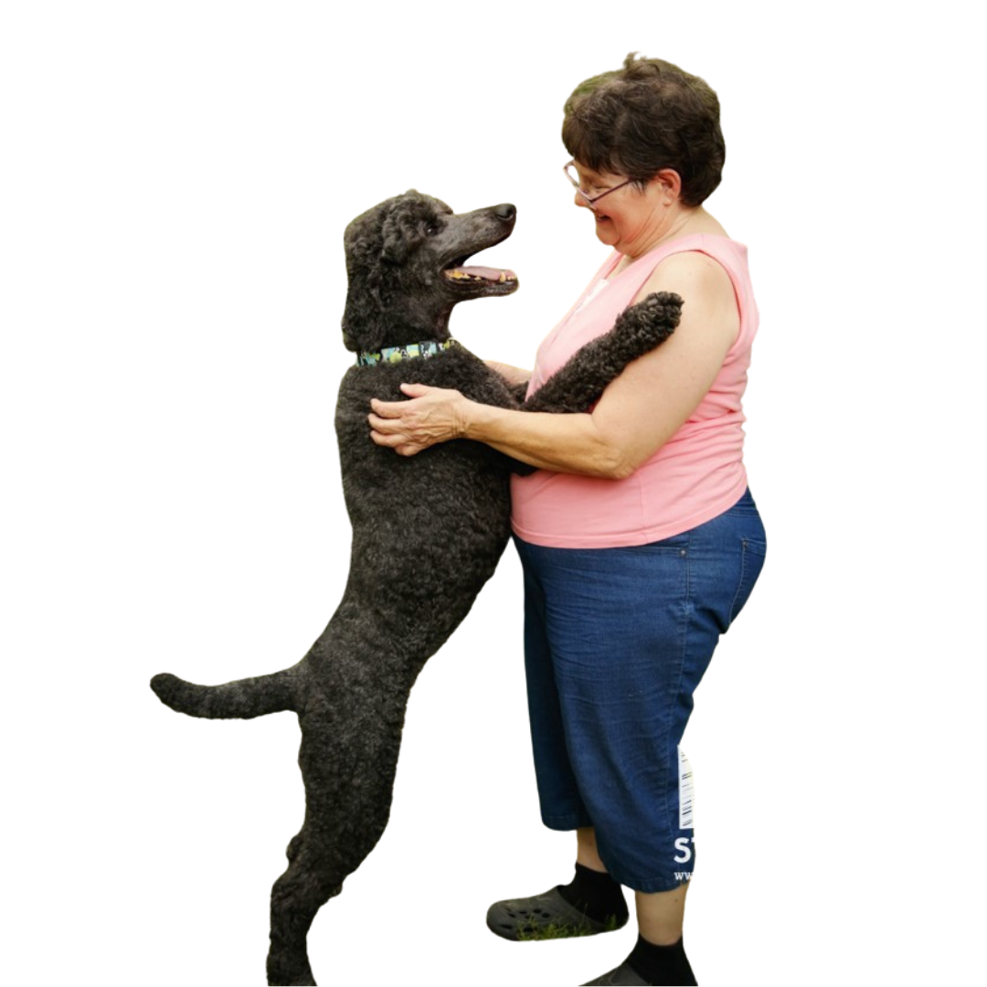 Untitled design (18)